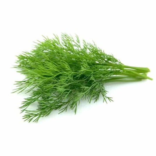 Dill