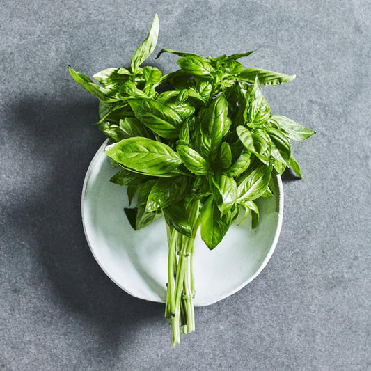 Sweet Basil