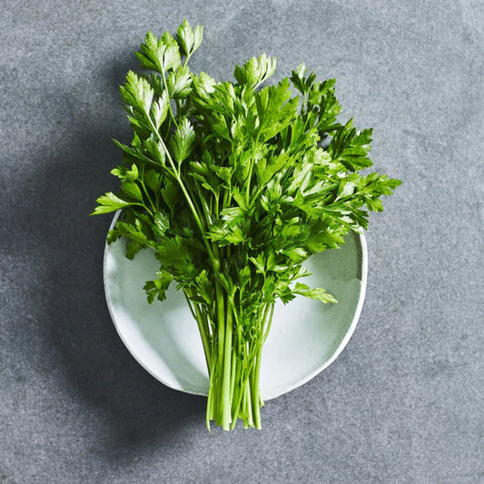 Continental Parsley