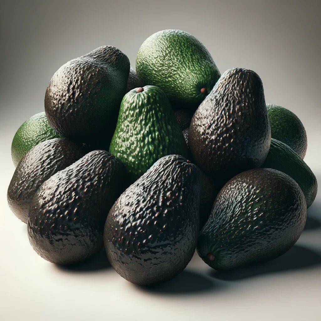 Avocado - Hass