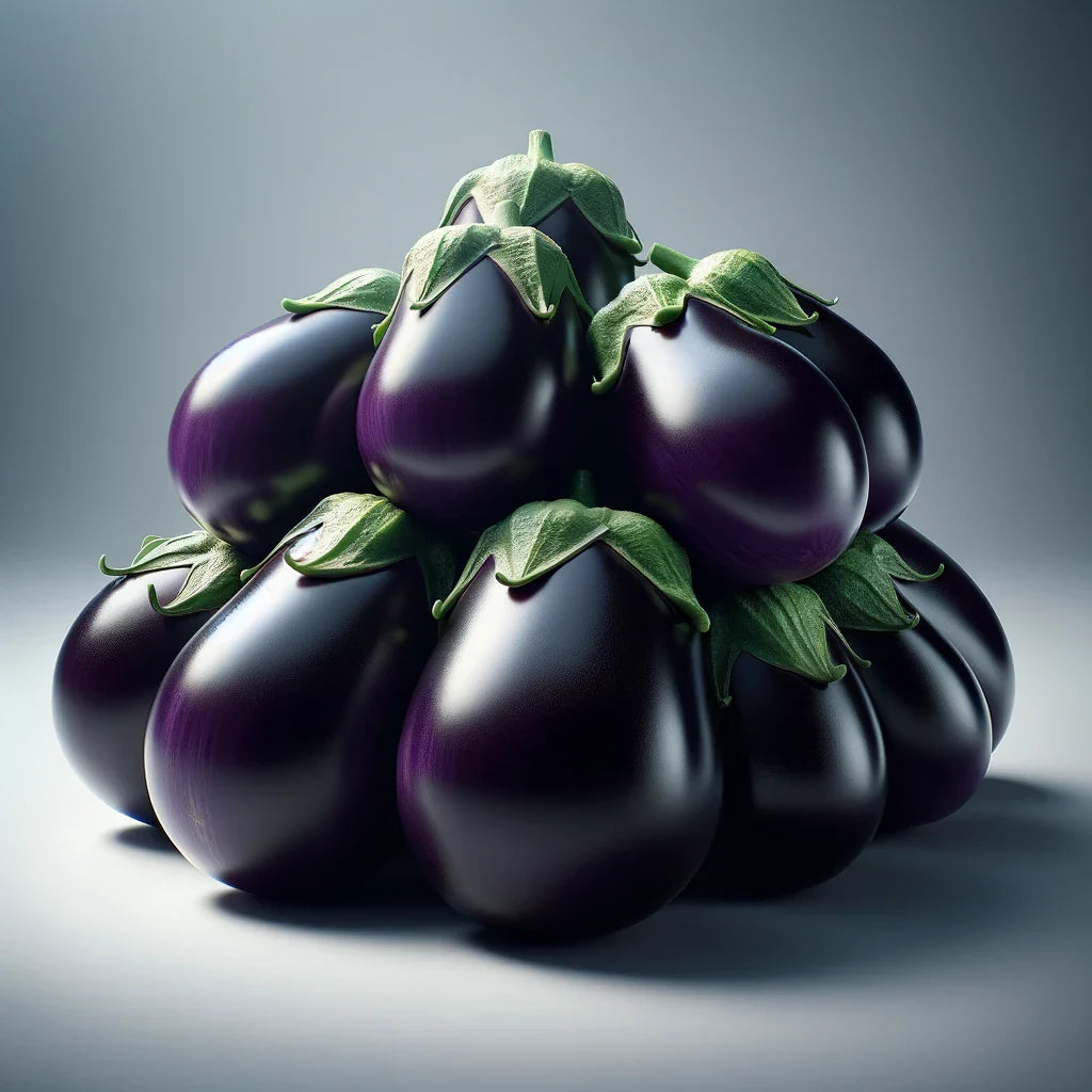 Eggplant - Hydroponic