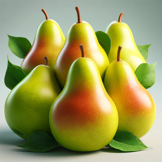 Pear - Large